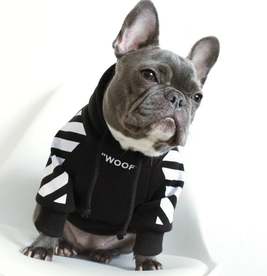 WOOF Dog Hoodie