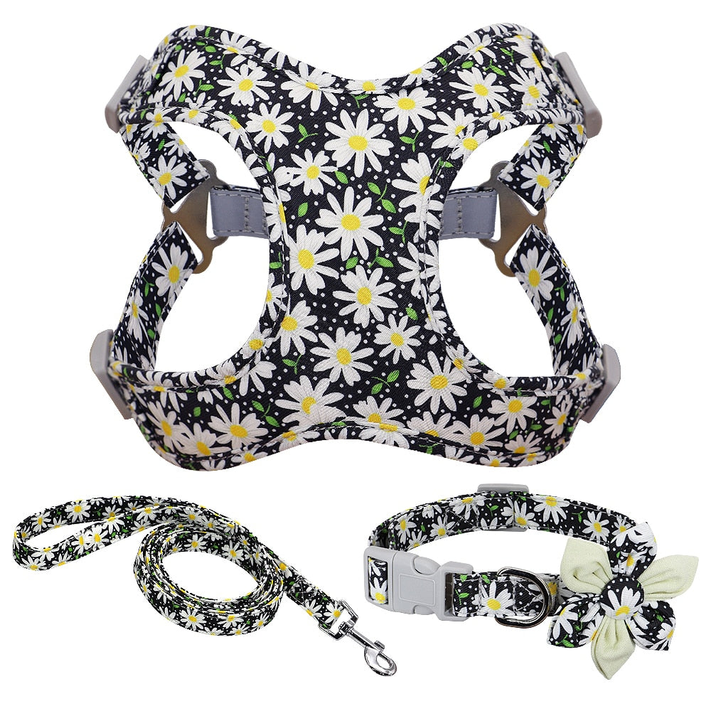 Daisy harness hotsell