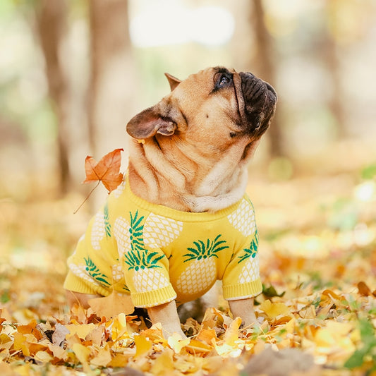 Wool Pineapple Dog Sweater