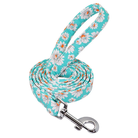 Printed Pet Walking Leash