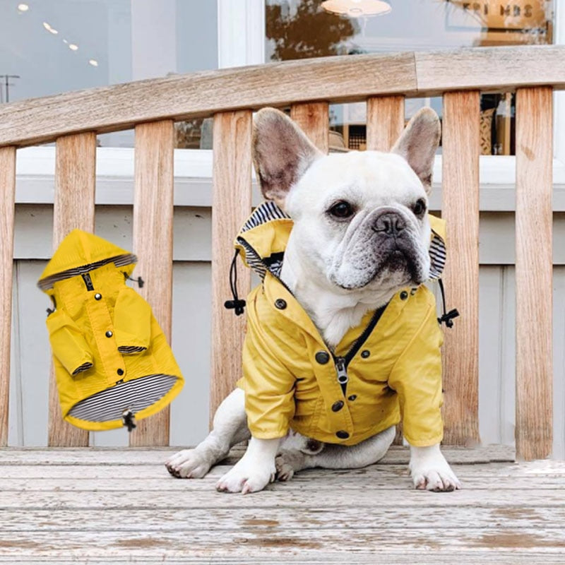 Yellow Pet Raincoat