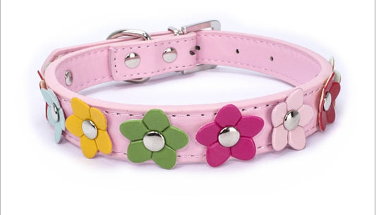 Flower Power Pet Collar