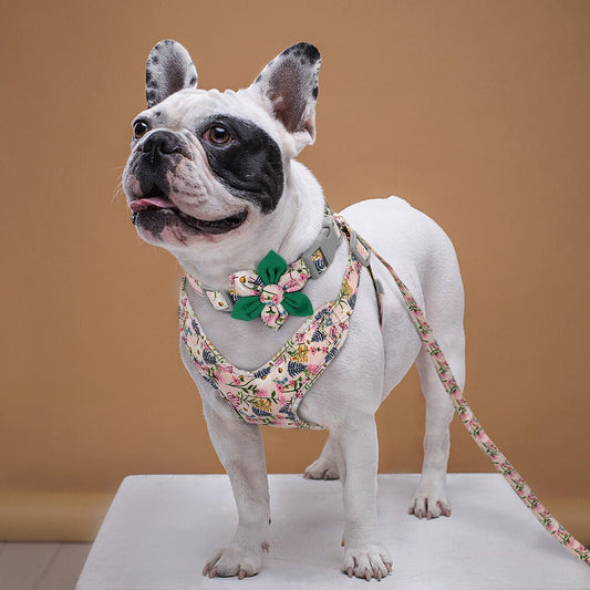 Flower Power Pet Harness with Attachable Collar and Leash