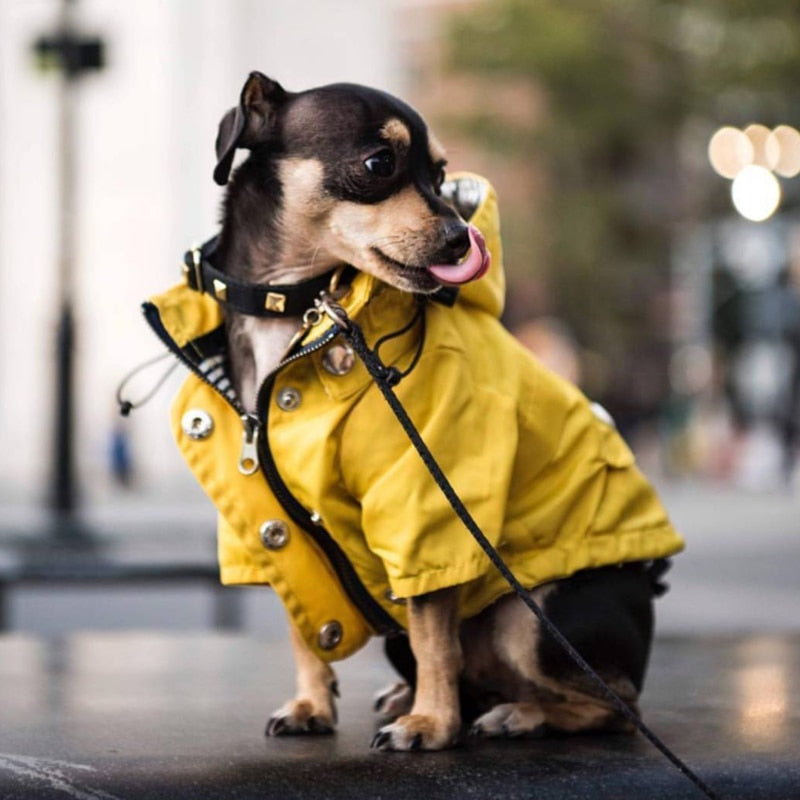 Yellow Pet Raincoat